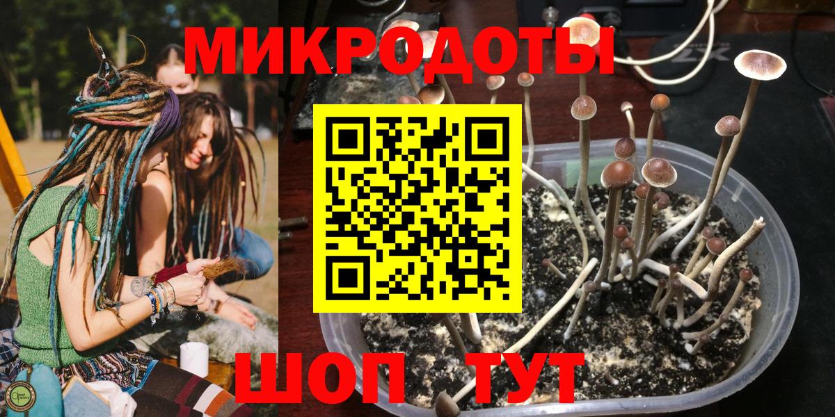 Псилоцибиновые грибы ЛСД Малоярославец