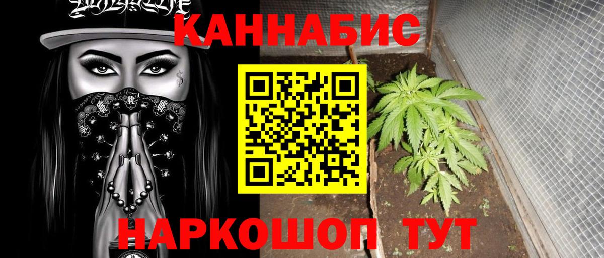 Бошки Шишки AK-47  Марихуана ГИДРОПОН  Малоярославец  Вход с VPN  Марихуана гибрид 